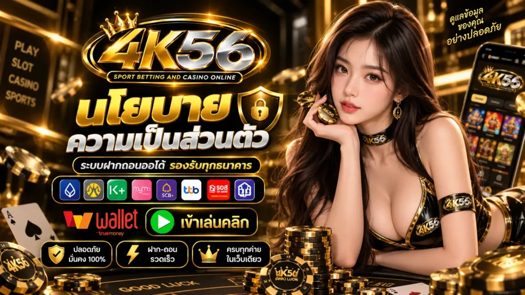 4K56 นโยบาย